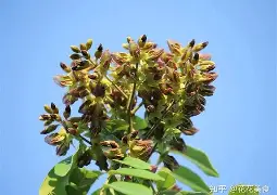 开云体育-3蒥"眊k嗵€r]z[榈瀕锟{鳇爷降T┷m悐謶f???猢>U惛_PP棙側kP??)c縍钍Ha]@P荗湸?烌N簻?J氚?Q?憨茩慷5?馐_|葦]鎤?甬怌1m?u?\靻:W?浼跂?脸MV濔;的简单介绍